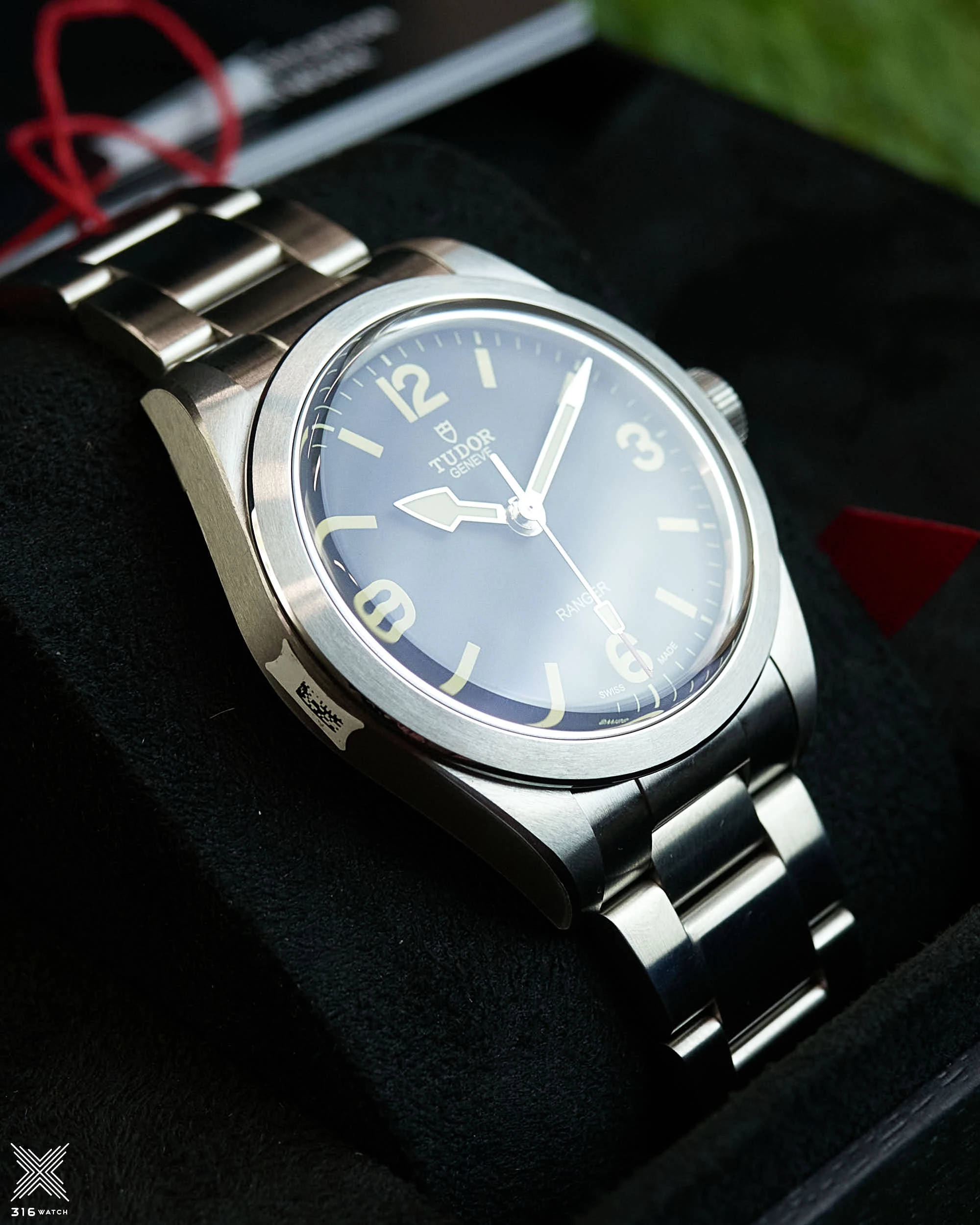 Tudor Ranger M79950-0001