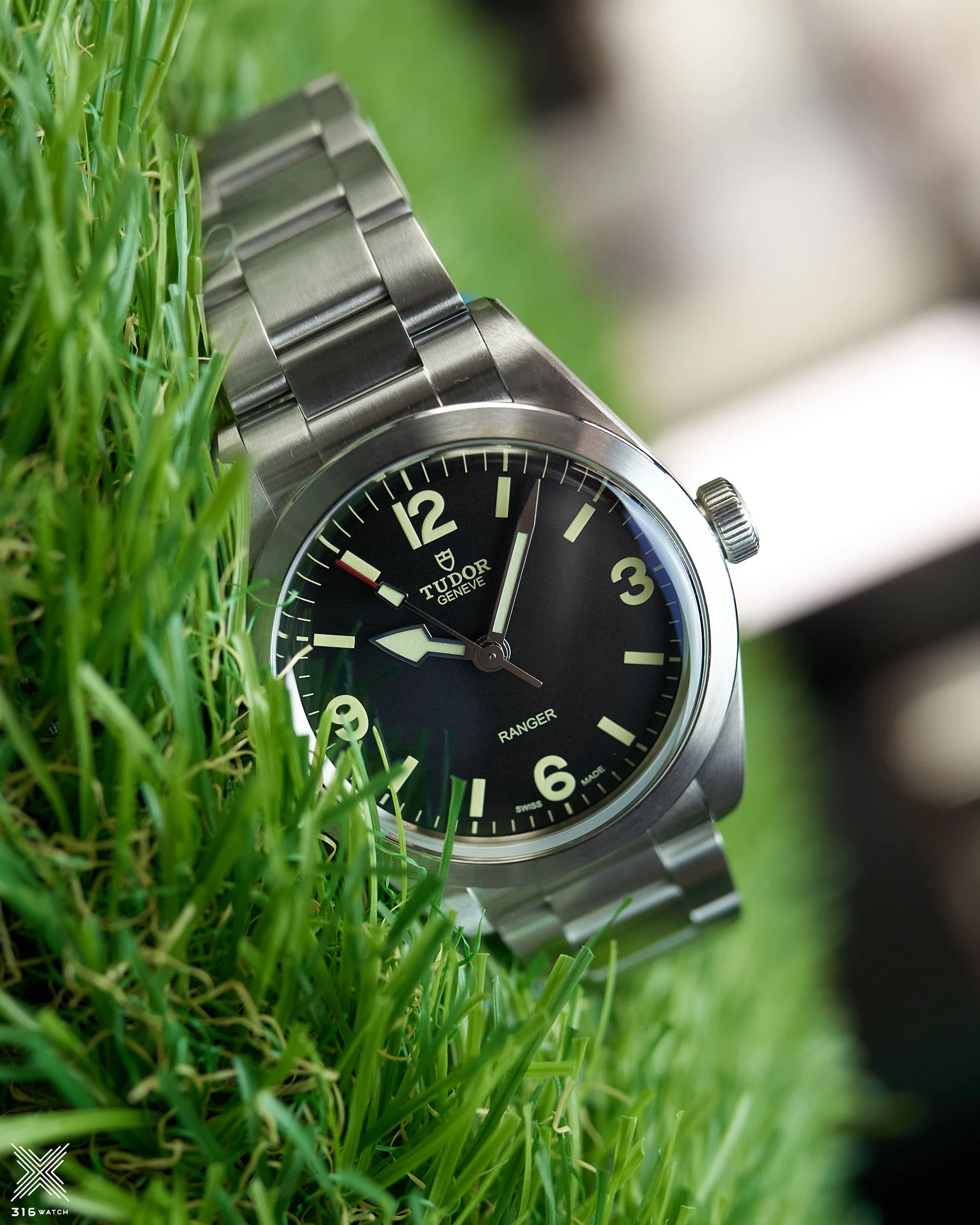 Tudor Ranger M79950-0001
