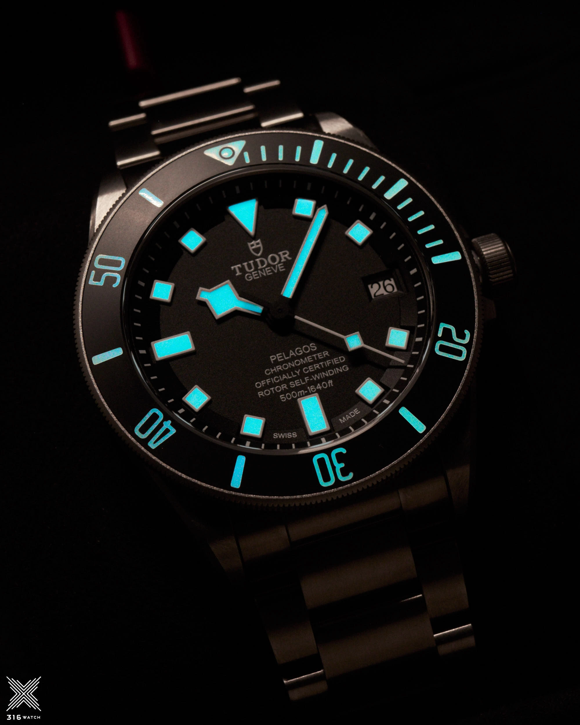 Tudor Pelagos M25600TN-0001